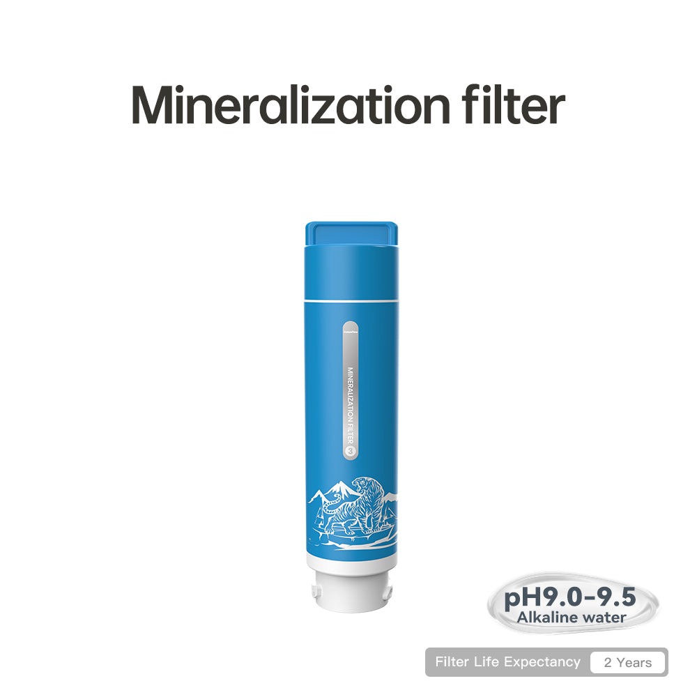 F4 Filter|F4 model
