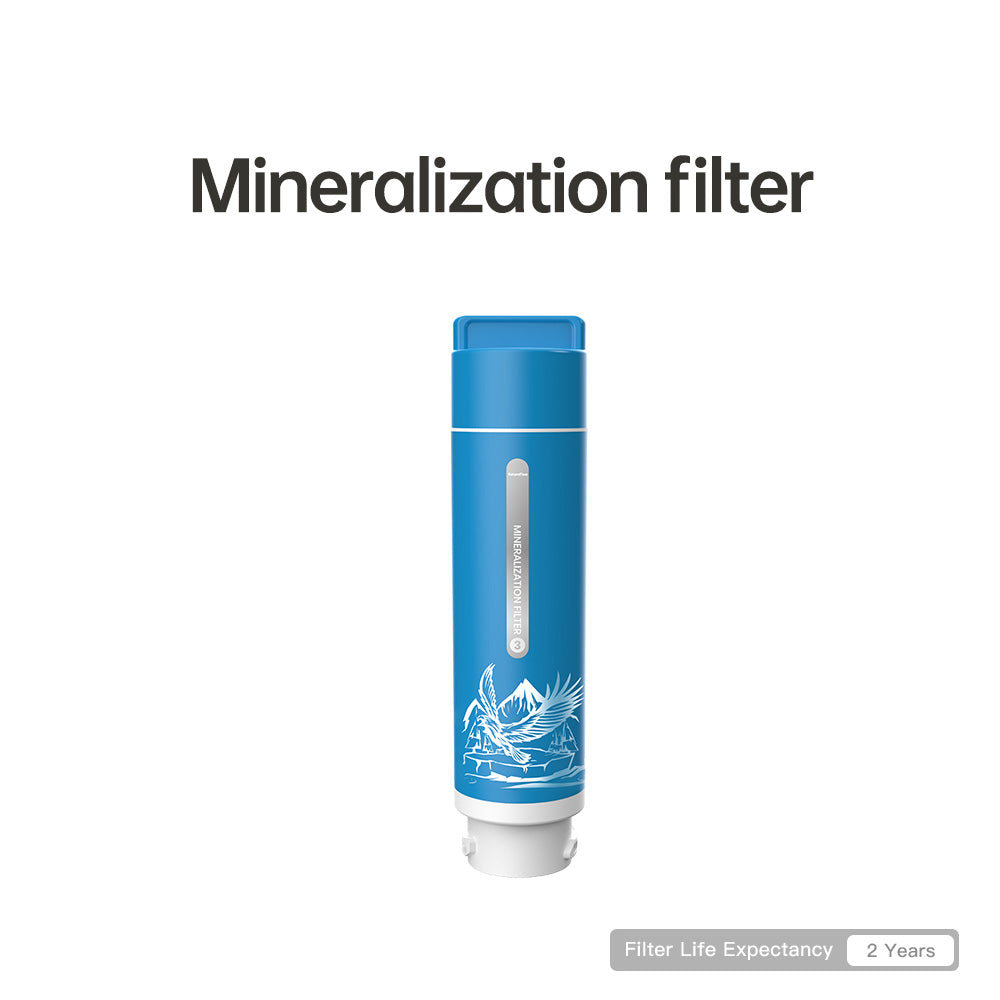Y6 Filter|Y6 model